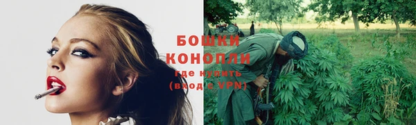 гидропоника Костерёво
